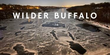 Ben Weaver Wilder Buffalo Events